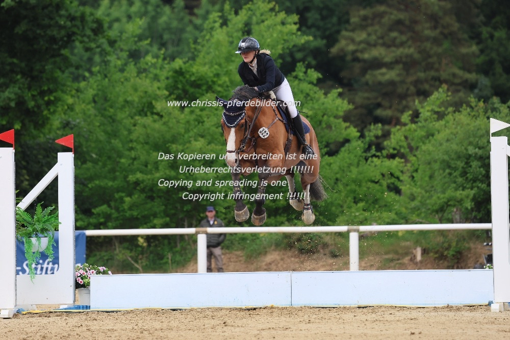 Preview leonie pander mit plot green IMG_1929.jpg